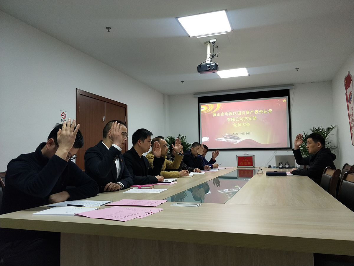 屯溪區國投集團機關黨支部成立暨第一屆支部委員會選舉大會勝利召開