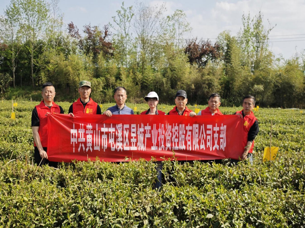 昱城產(chǎn)投公司黨支部開(kāi)展“茶香潤(rùn)初心，黨旗映茶園”主題黨日活動(dòng)