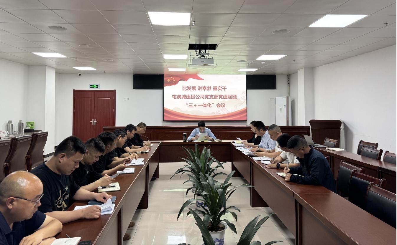 區(qū)國投集團城建投公司黨支部：黨建賦能助推項目建設提質增效