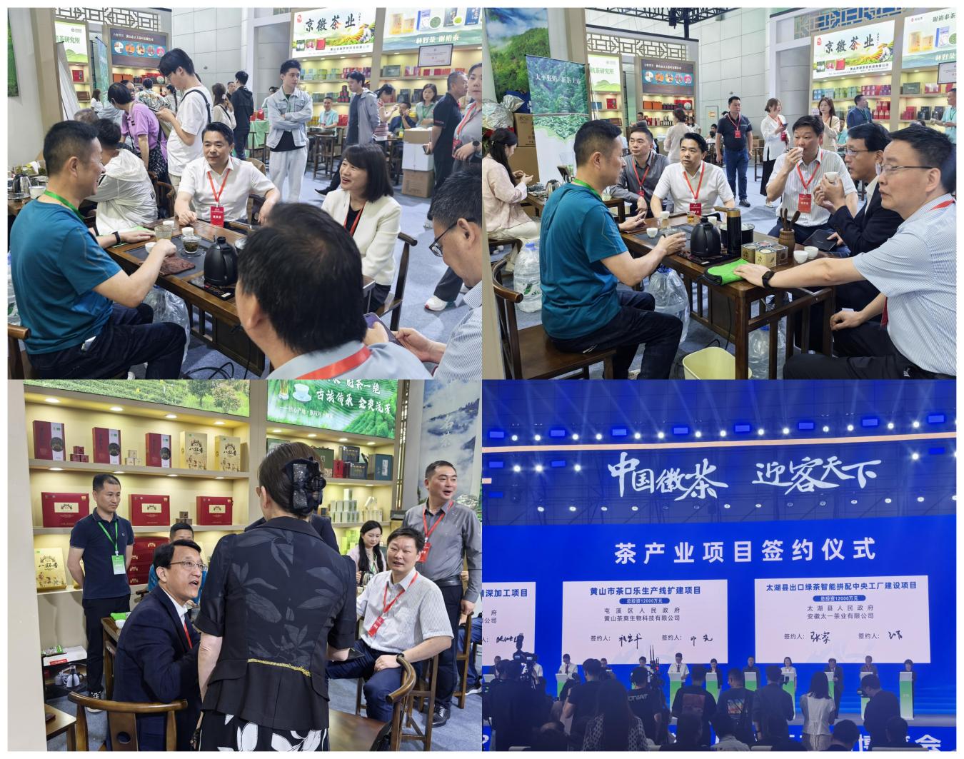 屯溪實驗茶場攜非遺技藝名優茶亮相第十七屆安徽國際茶產業博覽會